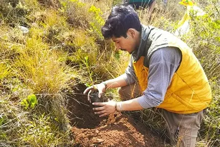 Responsibility toward the Earth