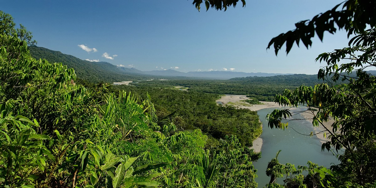 Wide view of the lush Amazon rainforest valley with the river in the background under a clear blue sky.
