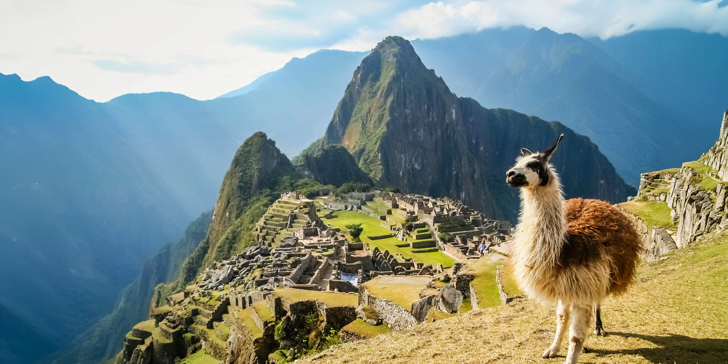 A fluffy llama standing on a grassy terrace with the ancient ruins of Machu Picchu and Huayna Picchu mountain in the background.