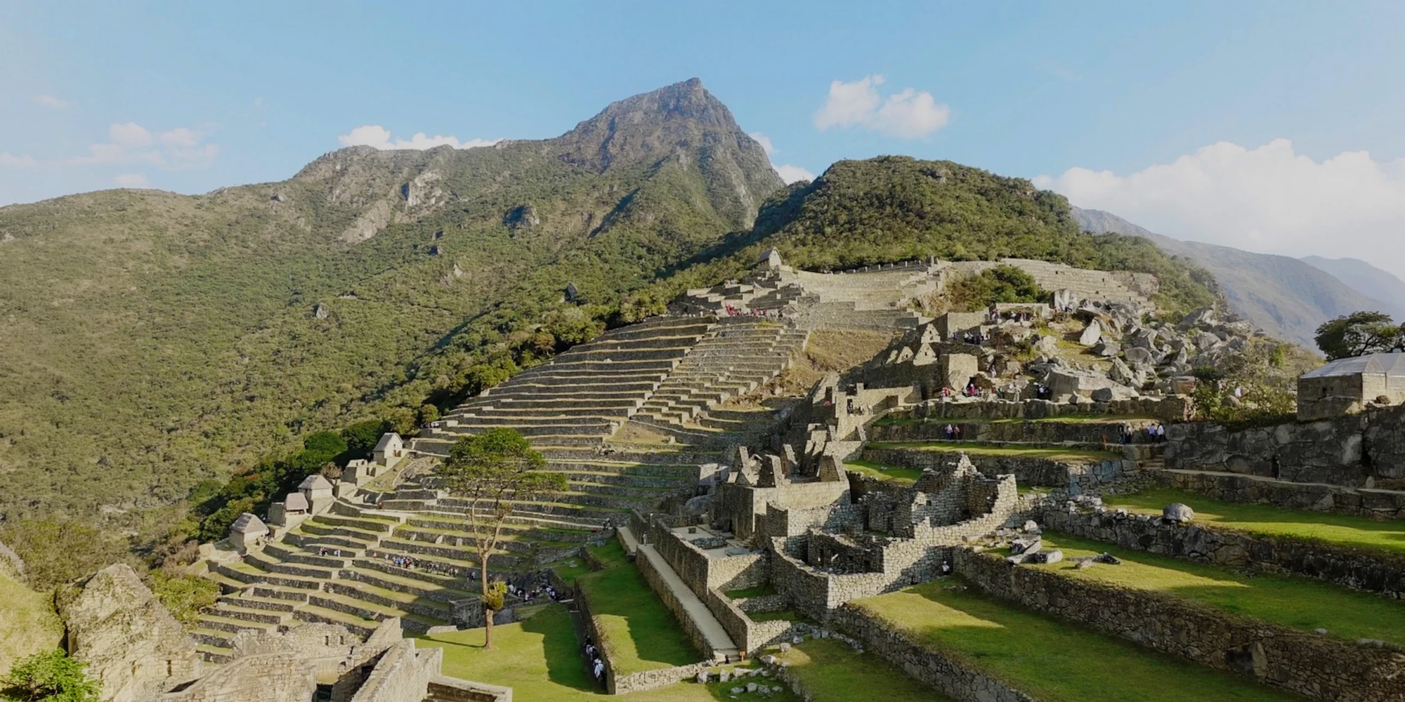 Wide view of the Machu Picchu stone terraces and ruins under a clear blue sky in Peru.