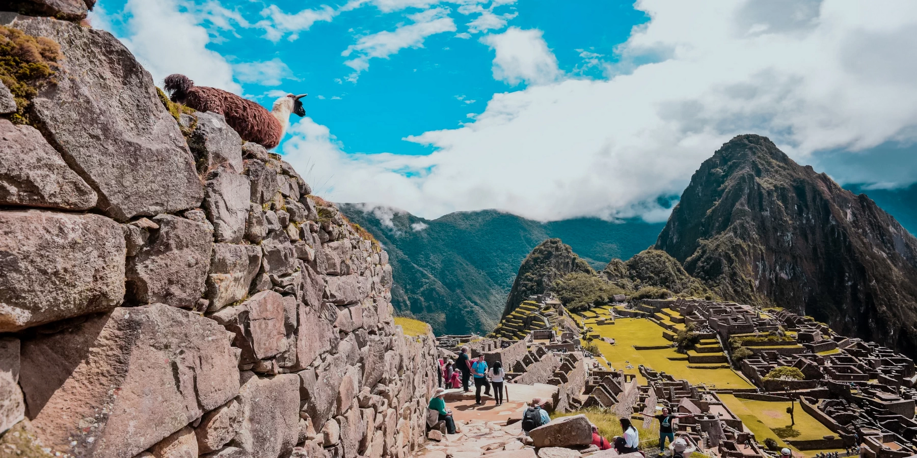 Panoramic view of the Machu Picchu citadel with a llama on a stone wall in the foreground and Huayna Picchu mountain behind.