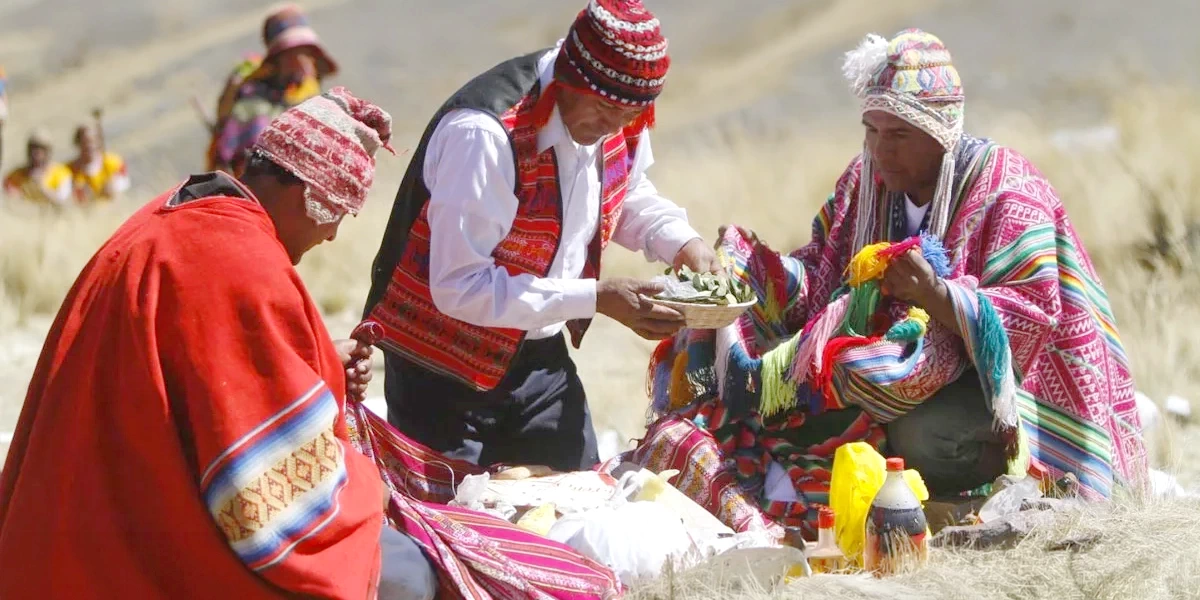 Close-up of organic dried coca leaves, a natural remedy for altitude sickness in the Andes.