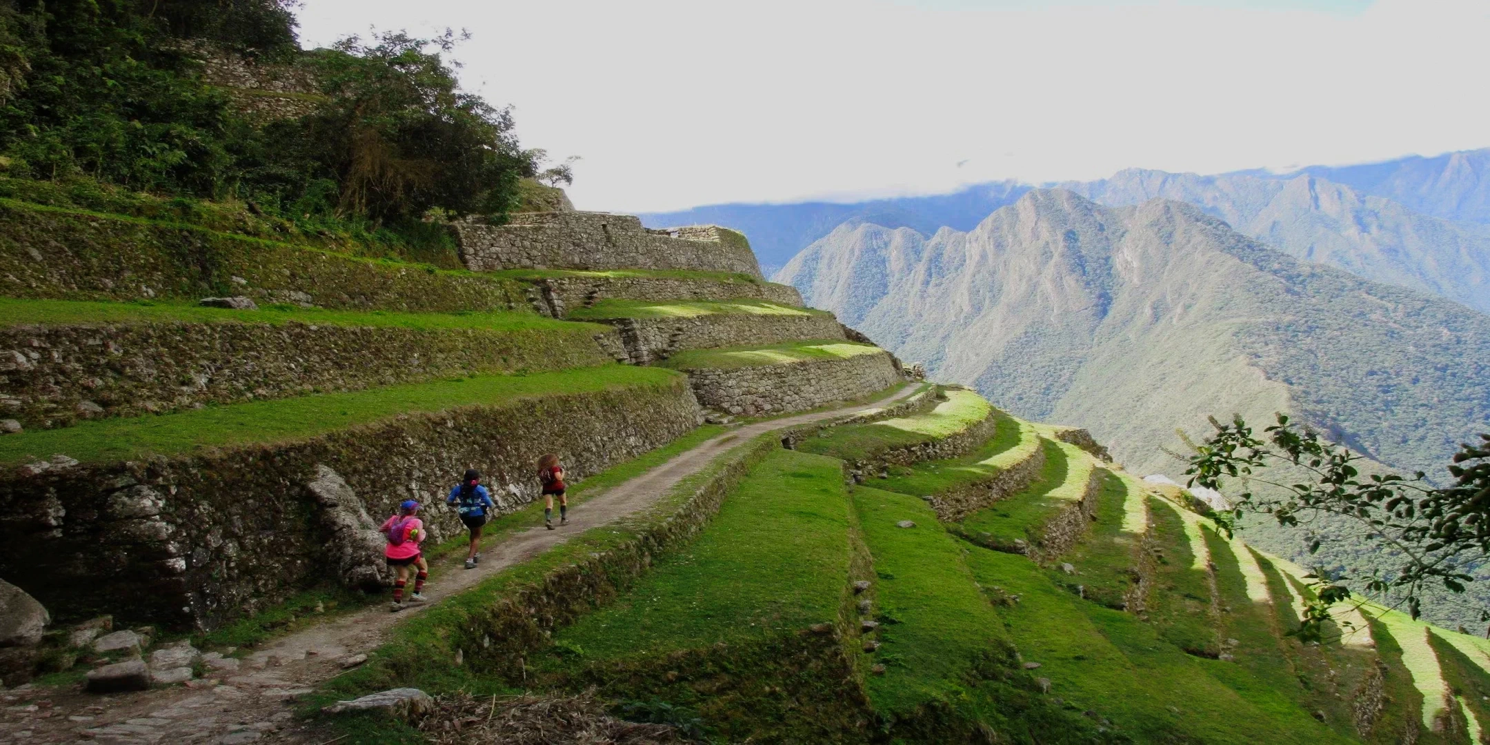 Trekkers walking along a narrow path built into steep, lush green Incan agricultural stone terraces.