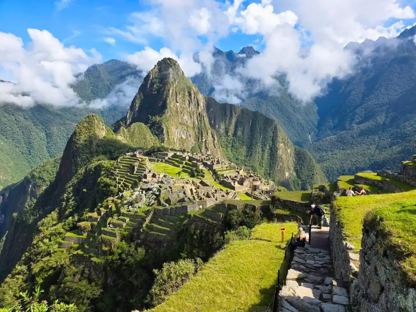 An imposing view of the original stone-paved Inca Trail as it disappears around a steep mountain curve. Llama and other ancient agricultural terraces are visible, illustrating the path of the Inca royalty.