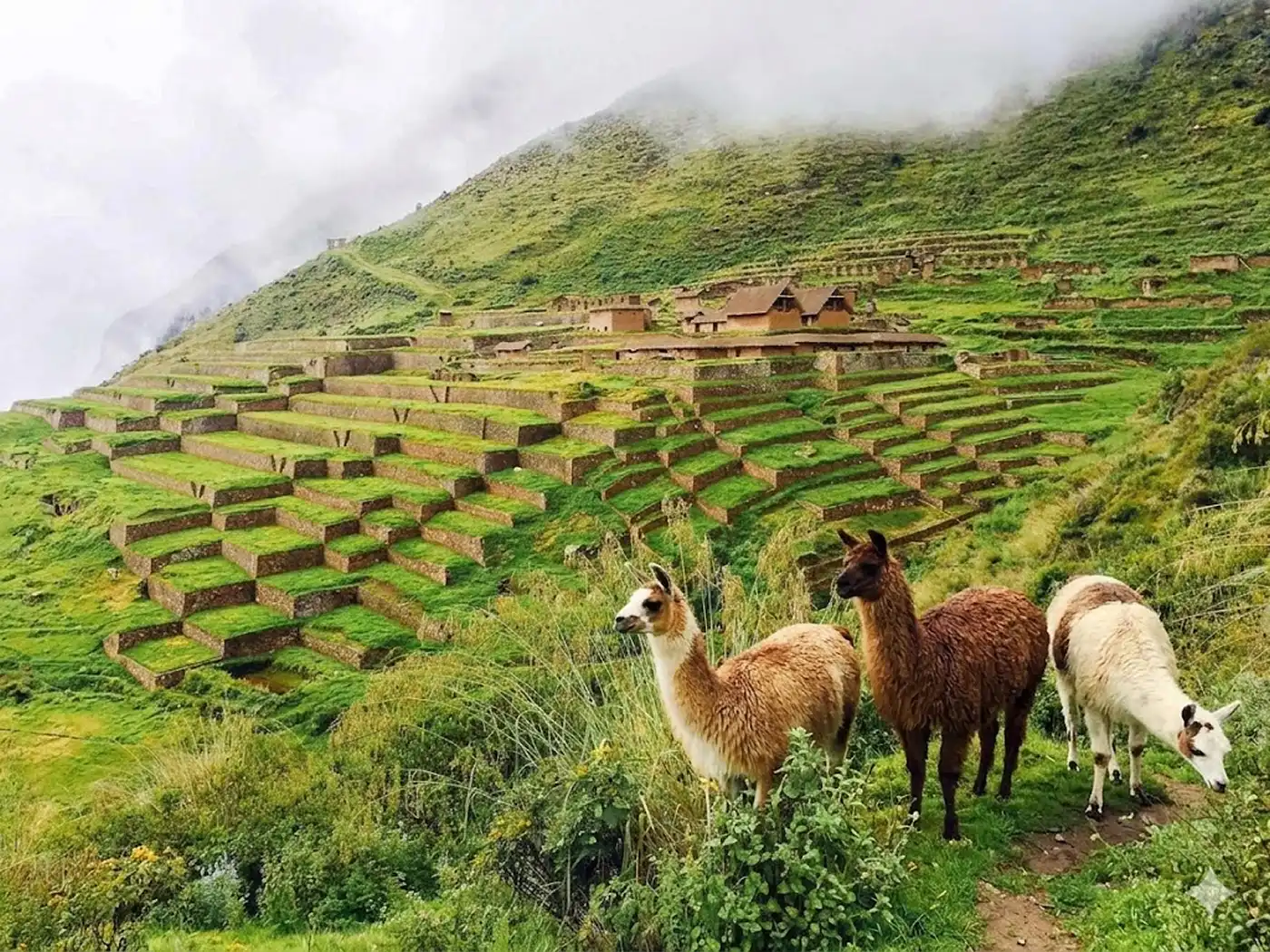 Huchuy Qosqo Trek Peru | Xtreme Tourbulencia