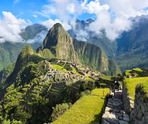 An imposing view of the original stone-paved Inca Trail as it disappears around a steep mountain curve. Llama and other ancient agricultural terraces are visible, illustrating the path of the Inca royalty.