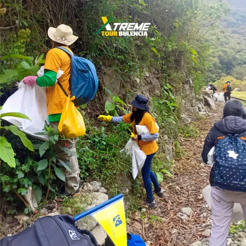 social project cleanup campaign