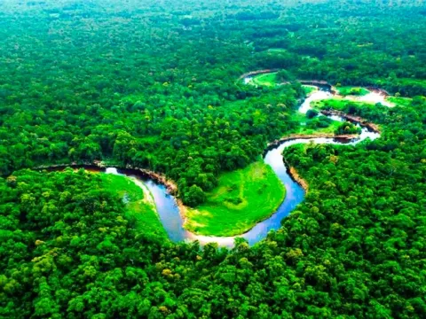 High-angle aerial view of a winding river snaking through the dense green canopy of the Amazon jungle