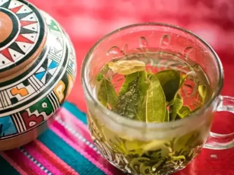 A clear glass cup of hot coca leaf tea with fresh leaves inside, placed on a colorful Andean textile.