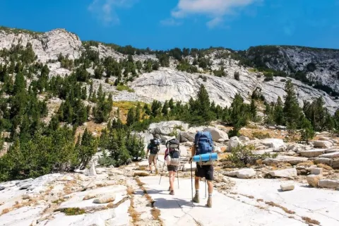 A group of three backpackers hiking through a rocky landscape with pine trees on the John Muir Trail.