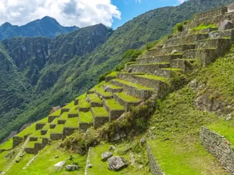 Greeen agricultural terraces on a steep mountainside at the Machu Picchu archaeological site.