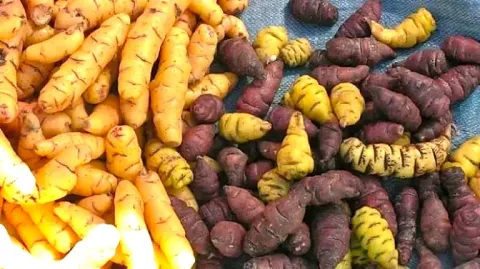 Colorful mix of Andean tubers: oca (yellow/orange), mashua (purple/black), and olluco (small/round) at a market