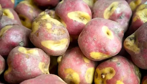 Pile of fresh Peruvian potatoes with red and yellow skin at an Andean market