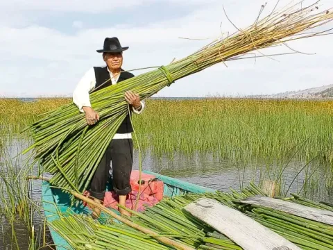 A local man in traditional Andean clothing holding a large bundle of totora reeds on a small boat at Lake Titicaca.