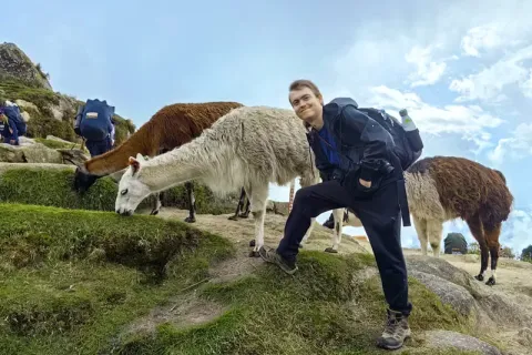 Llamas the Inca Trail | Xtreme Tourbulencia Llamas the Inca Trail | Xtreme Tourbulencia