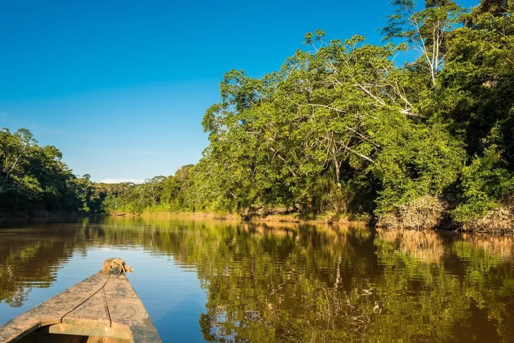 View from the front of a traditional wooden boat navigating a calm river surrounded by thick tropical jungle.