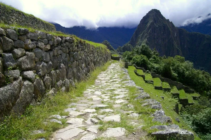 The Path to Machu Picchu A well-preserved stone Inca path leading through green terraces with a sharp mountain peak under a cloudy sky in the background.