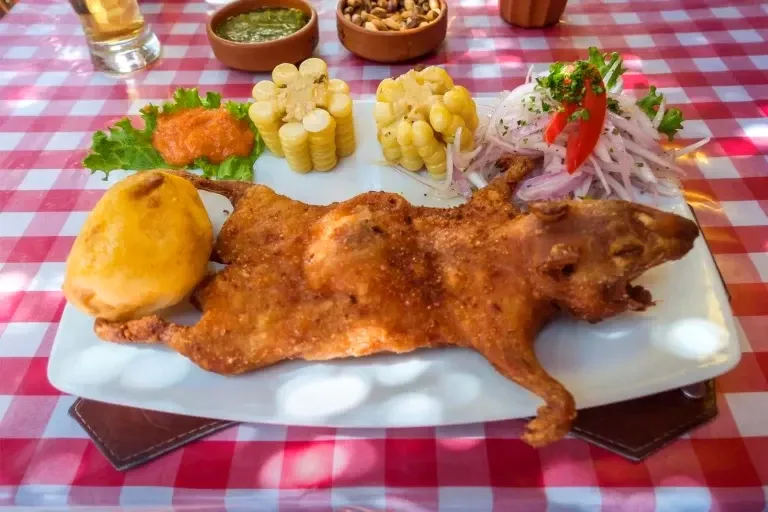 Authentic Arequipa-style Cuy Chactado served on a white plate with corn on the cob, fresh onion salad, and a boiled potato on a red checkered tablecloth.