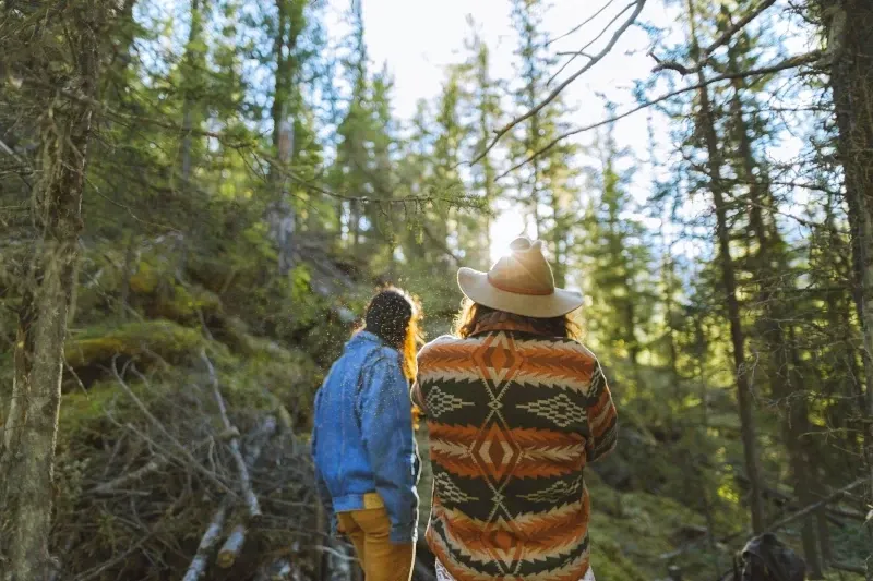 Two people in trekking gear walking into a dense, sun-drenched forest with tall trees and sunlight filtering through the branches.