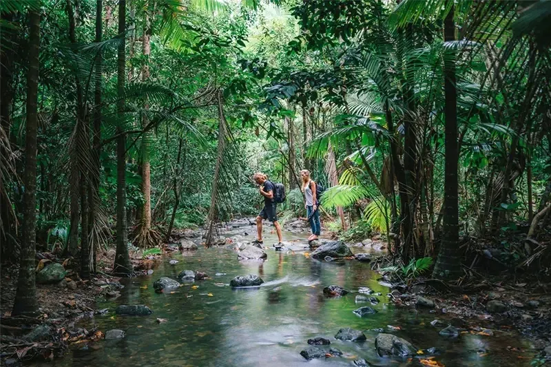 Two travelers with backpacks crossing a shallow stream surrounded by lush tropical vegetation.