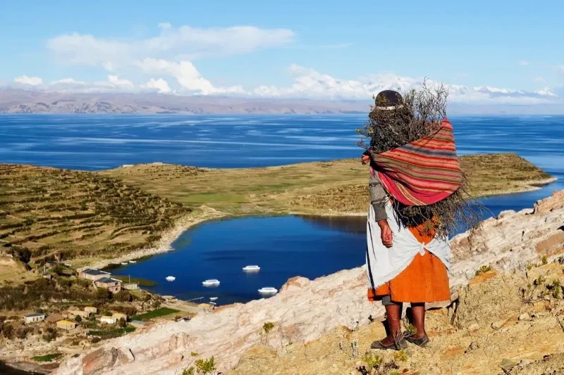 An Andean woman carrying wood overlooking the deep blue waters of Lake Titicaca in Puno.