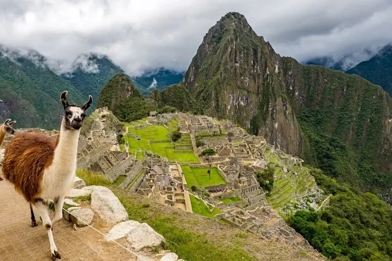 A llama standing in the foreground with the Machu Picchu citadel and Huayna Picchu in the background.