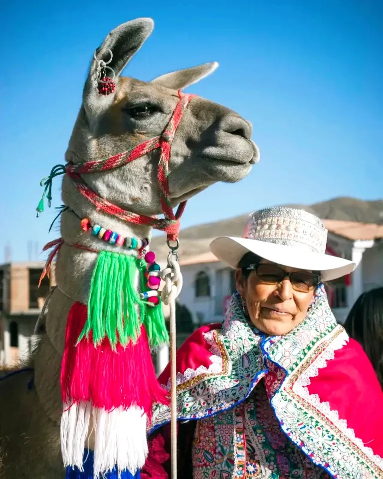 A close-up of a llama decorated with colorful tassels standing next to a Peruvian woman in traditional Andean clothing and hat.