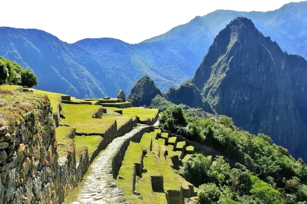 View of the green agricultural terraces and stone stairs at Machu Picchu overlooking the valley.