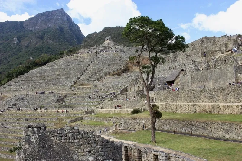 Panoramic view of the stone agricultural terraces and ancient ruins at Machu Picchu under a blue sky.