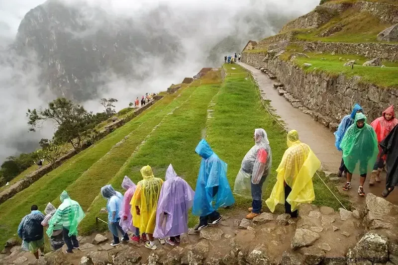 A group of tourists wearing colorful rain ponchos walking along the stone terraces of Machu Picchu during a rainy day.