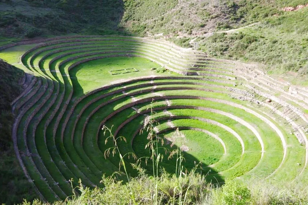 Close-up of the lush green circular terraces at Moray, known as an ancient Inca agricultural laboratory.