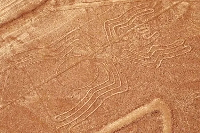 Aerial view of the famous Spider geoglyph, one of the ancient Nazca Lines in the Peruvian desert.