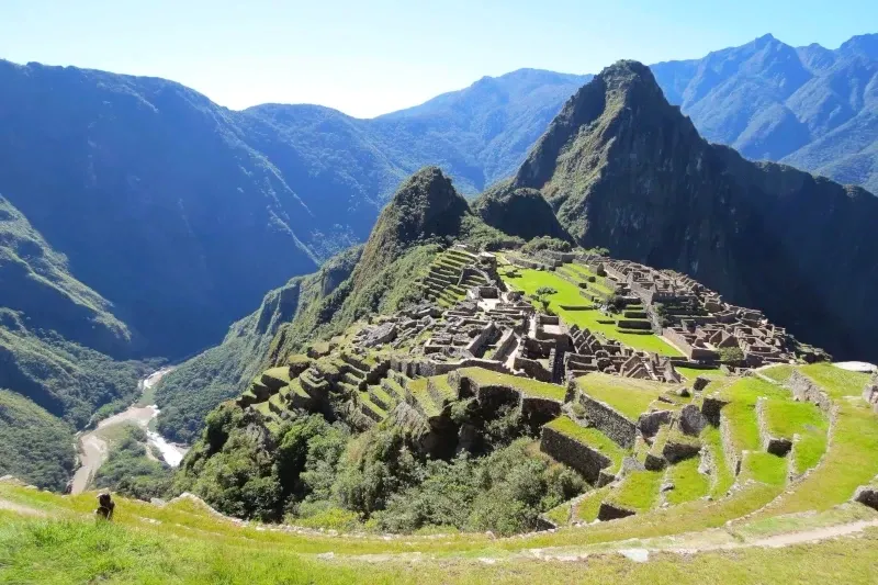 A breathtaking panoramic view of the Machu Picchu citadel and Huayna Picchu mountain under a clear blue sky in Peru.