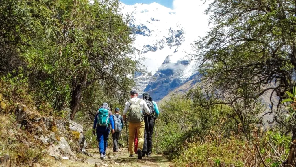 A group of four hikers with backpacks walking through a lush green forest trail with a snow-capped mountain peak visible in the distance.