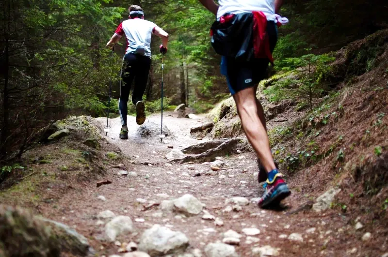 Two people trekking quickly or running through a dense pine forest trail with trekking poles.