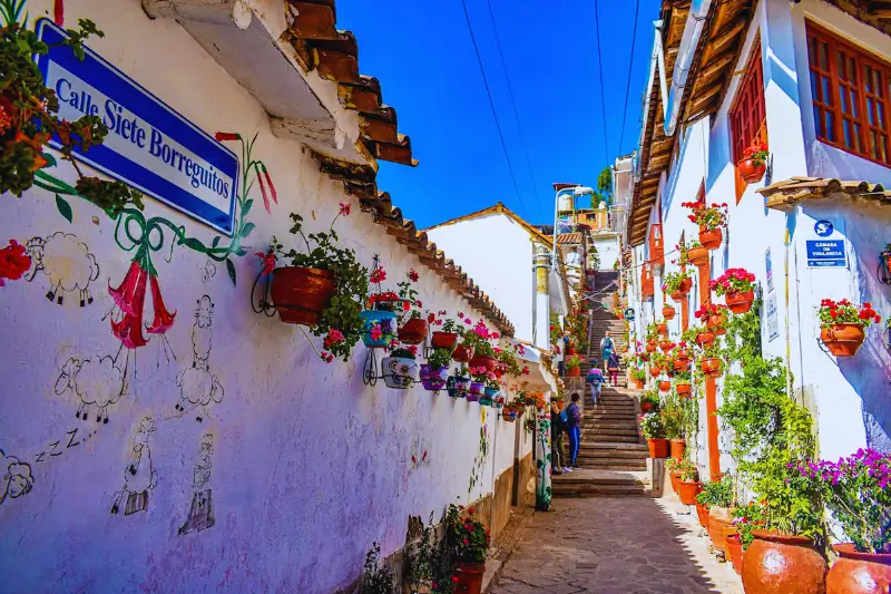 Seven Borreguitos Street