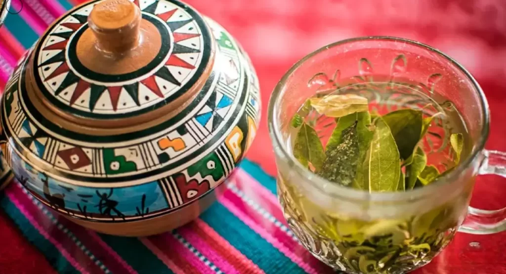 Mate de coca